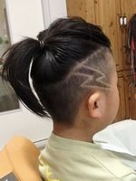 稲妻バリアート 茨城県