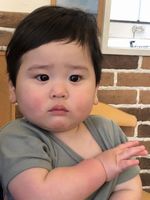 �Ԃ����̕M