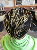 �V���o�[���b�V���J���[