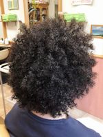 ��錧�X�v�����O�A�t���p�[�}