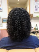 ��錧�c�C�X�g�X�p�C�����p�[�}